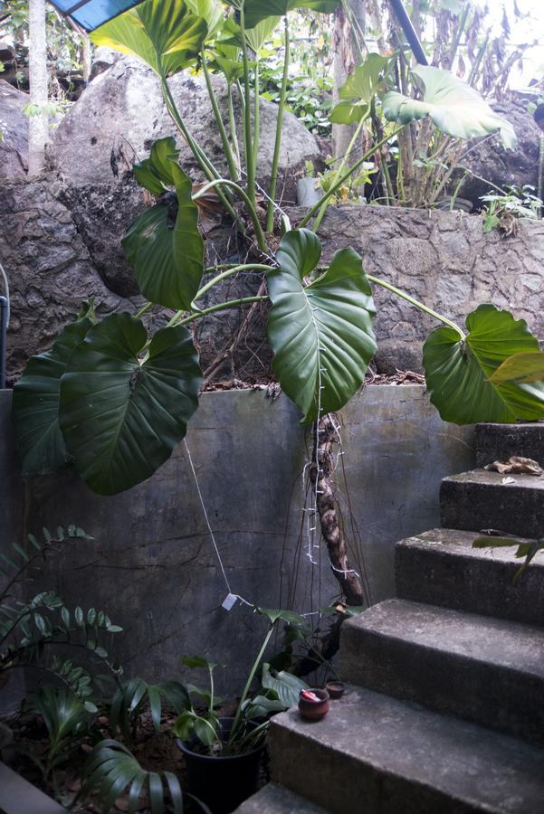 Butterfly Jewel Bed & Breakfast Unawatuna Exterior photo
